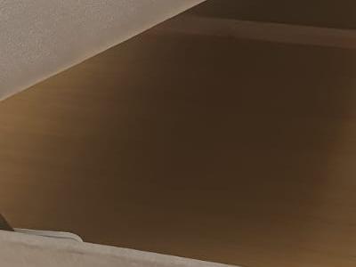 IMG-20230420-WA0003
